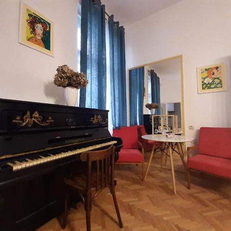 Venus Apartment براشوف المظهر الخارجي الصورة